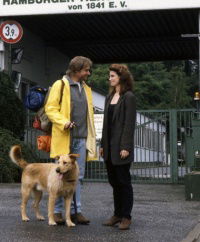 Zu Fuß und ohne Geld (1995)
