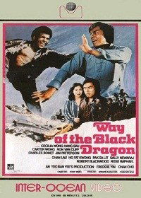 Way of the Black Dragon (1978)
