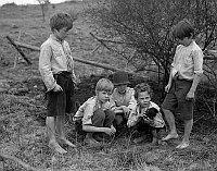 Druzina cerného pera (1974)