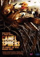 Camel Spiders