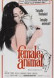Female Animal