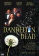 Dandelion Dead
