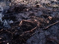 Engelen des doods (1998)