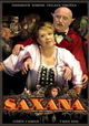 Saxána a Lexikon kouzel