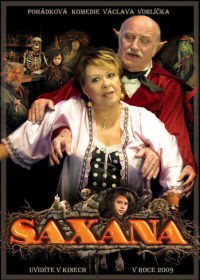 Saxána a Lexikon kouzel (2011)