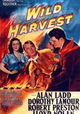 Wild Harvest