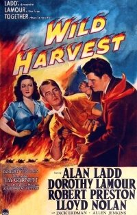 Wild Harvest (1947)