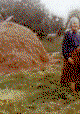 Reminiscences of a Journey to Lithuania
