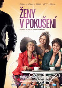 Zeny v pokuseni (2010)