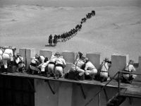 Adventure in Sahara (1938)