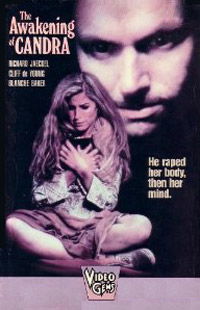 The Awakening of Candra (1983)