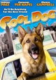 Cool Dog