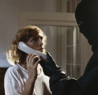 Der Einbruch (1988)