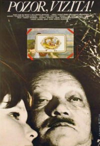 Pozor, vizita! (1981)