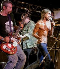 Search and Destroy: Iggy & The Stooges' Raw Power (2010)