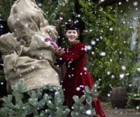An Old Fashioned Christmas (2010)