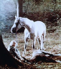 Das Pferdemädchen (1979)