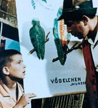 Die Suche nach dem wunderbunten Vögelchen (1964)