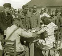 Freies Land (1946)