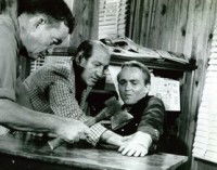 Swamp Country (1966)