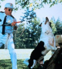 Spot Marks the X (1986)