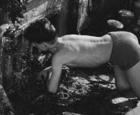 Das geheimnisvolle Wrack (1954)