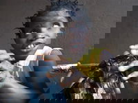 Imagine, the Sky (2011)