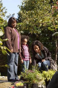 Sins of the Mother (2010)