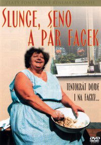 Slunce, seno a pár facek (1989)