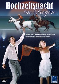 Hochzeitsnacht im Regen (1967)