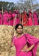Pink Saris