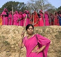 Pink Saris (2010)