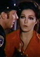 The Feminist and the Fuzz