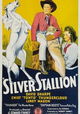Silver Stallion