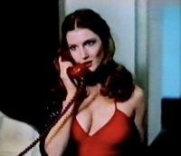 Love for Rent (1979)
