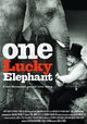 One Lucky Elephant