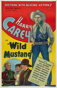 Wild Mustang (1935)