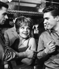 Reise ins Ehebett (1966)