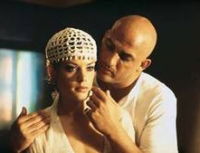 Latin Lover