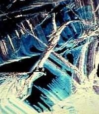 Passage Through: A Ritual (1990)