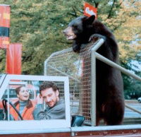 Ein Bär für alle Fälle (1998)