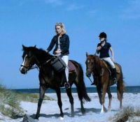Dir zu Liebe (2000)
