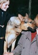 Mein Freund der Wolf