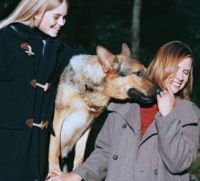 Mein Freund der Wolf (1999)