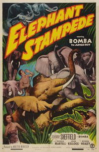 De zoon van Tarzan