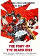 Fury of Black Belt