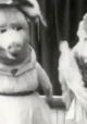 Paul Merton's Weird and Wonderful World of Early Cinema
