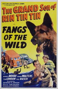 Fangs of the Wild (1939)