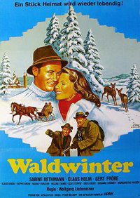 Waldwinter