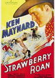 Strawberry Roan